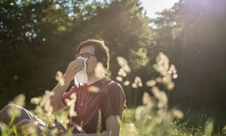 Immunotherapy - Hay Fever
