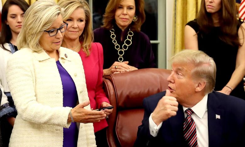 Liz Cheney - Donald Trump