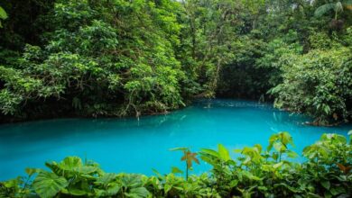 Rio Celeste