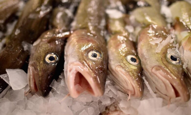 Russian President Vladimir Putin on Monday signed a law renouncing his country’s agreement with the UK on fisheries.