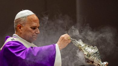 Pope Leo XIV in Istanbul urges Christians to rebuild trust, deepen mutual respect and preserve the symbolic “bridges of unity.”