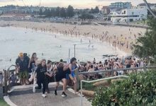 A deadly shooting during a Hanukkah event in Sydney has reignited concerns over rising antisemitism in Australia and across the world.