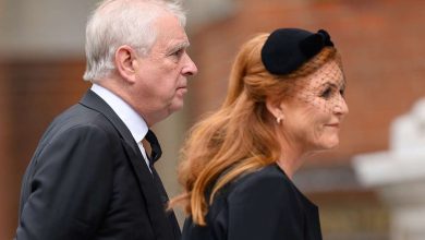 Freshly released emails from U.S. Justice Department files have reignited scrutiny over the British royal family’s past links to Jeffrey Epstein.