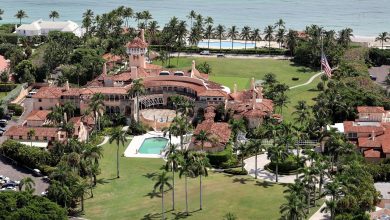 Mar-a-Lago, had reportedly become increasingly focused on the Epstein files and was described as a supporter of Donald Trump.