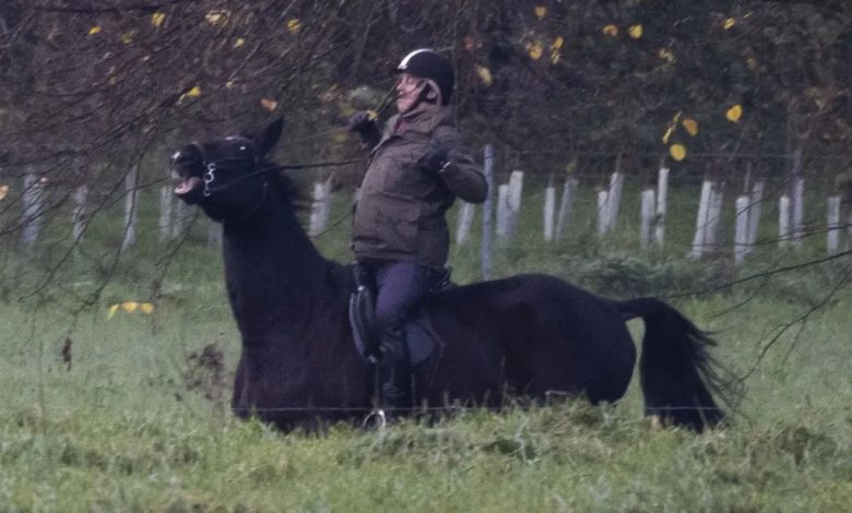 Following renewed fallout from the Epstein files, Prince Andrew has reportedly been barred from horse riding.