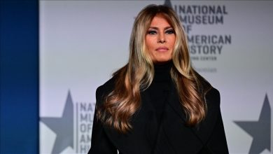 A US federal judge has dismissed author and journalist Michael Wolff’s lawsuit against Melania Trump.