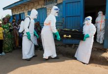 France announced that Ebola virus was detected in a humanitarian doctor who had recently returned from the Democratic Republic of Congo.