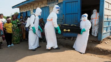 France announced that Ebola virus was detected in a humanitarian doctor who had recently returned from the Democratic Republic of Congo.