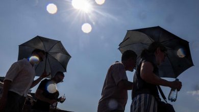Four more people died in Italy due to the African heatwave that has gripped the country for nearly 10 days.