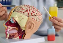 A study published in Biological Psychiatry found that long-term nicotine exposure can alter brain circuits linked to motivation.