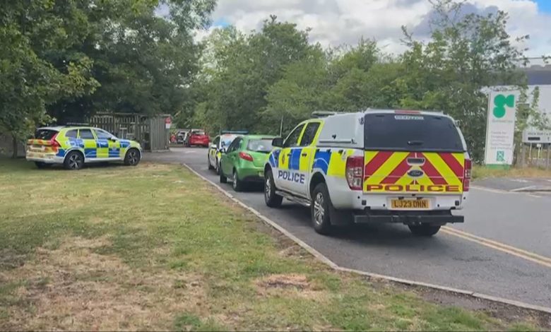 A staff member at the University of Surrey was seriously injured after being shot with a crossbow on campus.