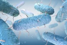 Cases of cyclosporiasis, a foodborne illness linked to contaminated food, are rising across the United States.