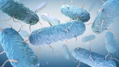 Cases of cyclosporiasis, a foodborne illness linked to contaminated food, are rising across the United States.