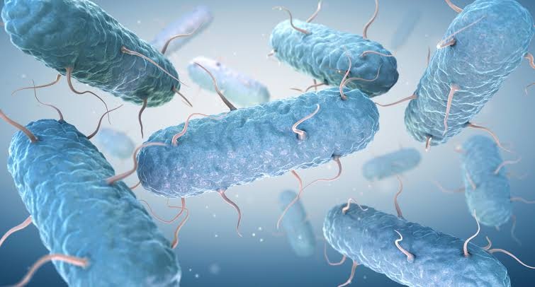 Cases of cyclosporiasis, a foodborne illness linked to contaminated food, are rising across the United States.