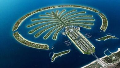 Dubai iflas ediyor Dubai World NationalTurk