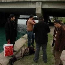 Seyhan Nehri'nde bir mucize yaşandı 1 seyhan nehri