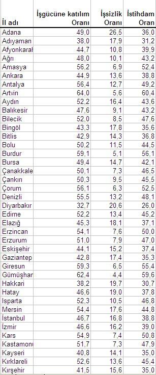 illere gore issizlik11111