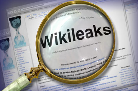 wikileaks buyutec