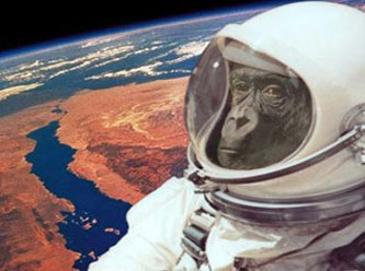 İran uzay maymunu telef oldu