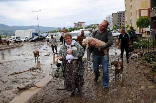 samsun canik sel