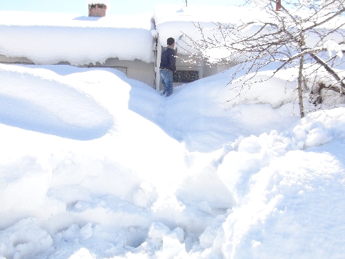 Bitlis'te 10 metre kar! "Burası benim evim mi acaba?" 1 bitlis kar 293038