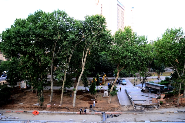 İBB Gezi Parkı'na ağaç dikiyor! 1 gezi parki agac