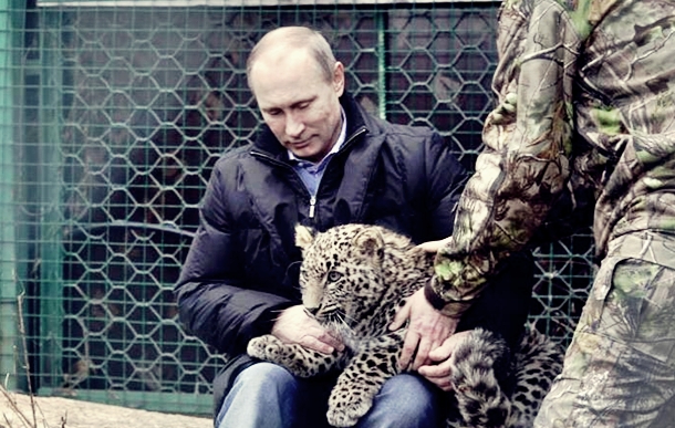 putin leopar