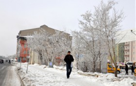 Erzurum ve Ağrı eksi 26'yı gördü! 1 agri kar