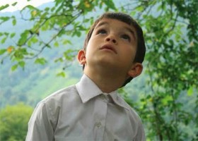 Altın Ayı ödüllü Bal filminin galası Rize'de 1 bal filmi galasi rize