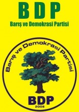 bdp logo2