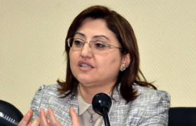 Kadına şiddet Doğu Anadolu'da tavan yaptı 1 fatma sahin aciklamaa e1334650527370