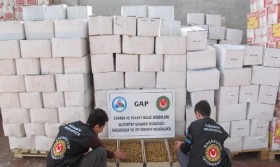 Gaziantep'te 7 ton kaçak ceviz içi ele geçirildi 1 gaziantep kacak ceviz