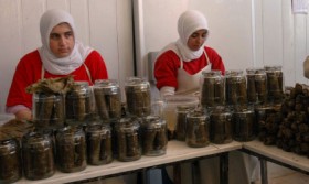 Gaziantep’te yaprak sarma ihracatı 1 gaziantep yaprak sarma nationalturk