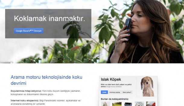 google 1 nisan sakasi