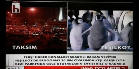 halk tv penguen