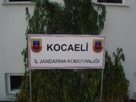 kocaeli