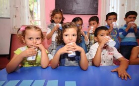 Sağlık Bankanlığı okullara süt dağıtmayacak 1 okul sutu iptali