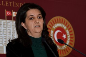 pervin buldan 87934
