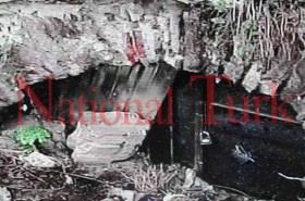 Sarai Sierra cinayetinin işlendiği yerde bir vahşet daha 1 sarai sierra cesedi 2398