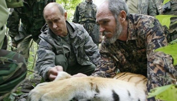 Putin'in kaplanı kışı Çin'de geçirecek! 1 vladimir putin kuzya