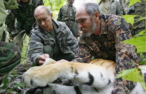 Putin'in kaplanları Çin'de rahat durmuyor 1 vladimir putin kaplan cin