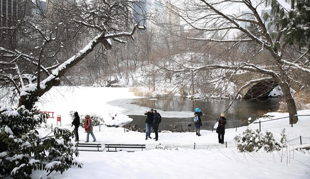 central park golleri buz