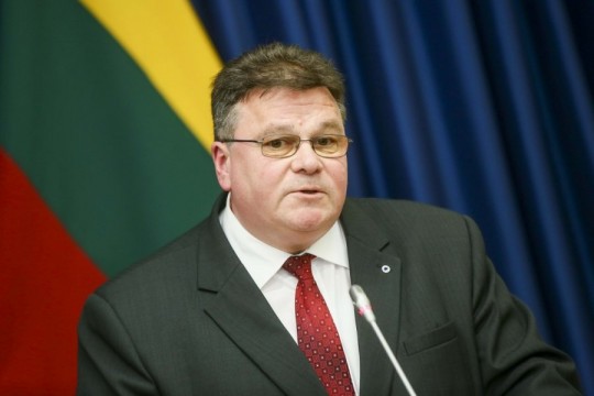 Litvanyalı bakan: Türkiye ile dayanışma içindeyiz 1 linas linkevicius