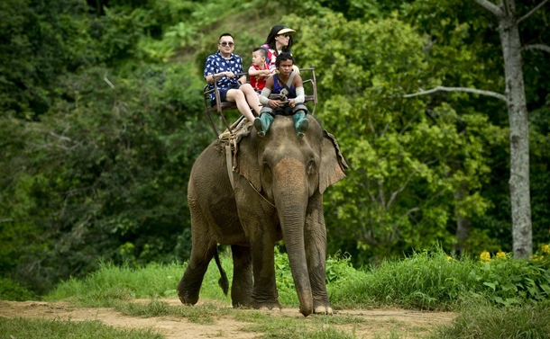 tayland filleri