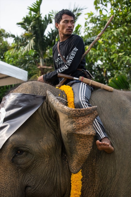 bangkok fil polo10