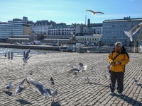 Finlandiya için en uygun zaman / Foto Galeri 27 20160405 2 15109627 6932933 Web