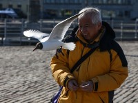 Finlandiya için en uygun zaman / Foto Galeri 13 20160405 2 15109627 6932934 Web