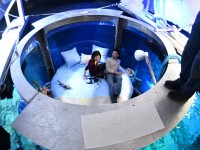 Köpek balıklarıyla dolu akvaryumda özel bir gece / Foto Galeri 11 paris 11