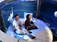 Köpek balıklarıyla dolu akvaryumda özel bir gece / Foto Galeri 13 paris 13