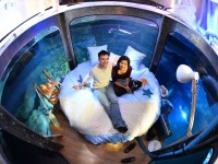 Köpek balıklarıyla dolu akvaryumda özel bir gece / Foto Galeri 14 paris 14